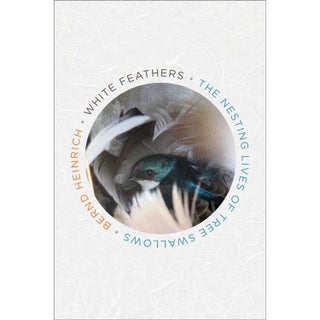 Item #15061 White Feathers: The Nesting Lives of Tree Swallows. Bernd Heinrich