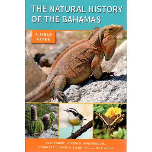 Item #15093 The Natural History of the Bahamas: Field Guide. Dave Currie, David N. Ewert, Ethan Freid, Jr., Joseph M. Wunderle, D. Jean Lodge.