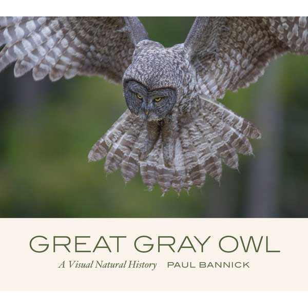 Item #15107 Great Gray Owl: A Visual Natural History. Paul Bannick.