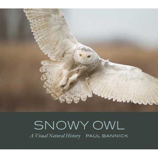 Item #15108 Snowy Owl: A Visual Natural History. Paul Bannick