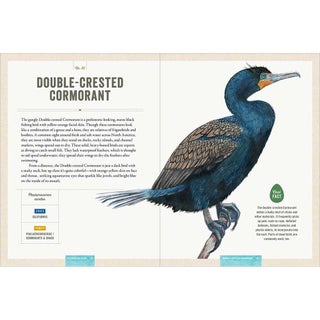 Celebrating Birds: An Interactive Field Guide Featuring Art from Wingspan