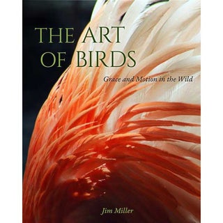 Item #15166 The Art of Birds: Grace and Motion in the Wild. Jim Miller