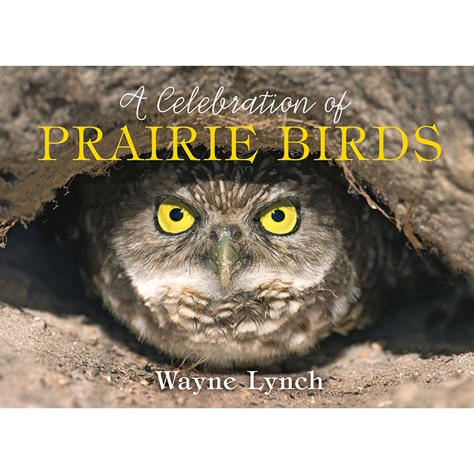 Item #15180 A Celebration of Prairie Birds. Wayne Lynch.