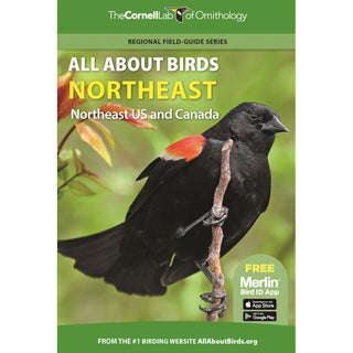 Item #15201 All About Birds: Northeast US and Canada. Cornell Lab of Ornithology