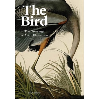 Item #15205 The Bird: The Great Age of Avian Illustration. Philip Kennedy