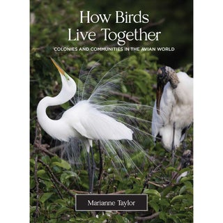 Item #15217 How Birds Live Together: Colonies and Communities in the Avian World. Marianne Taylor