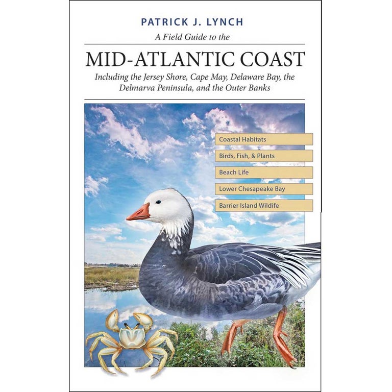 Item #15227 A Field Guide to the Mid-Atlantic Coast: Jersey Shore, Cape May, Delaware Bay, Delmarva, Outer Banks. Patrick J. Lynch.