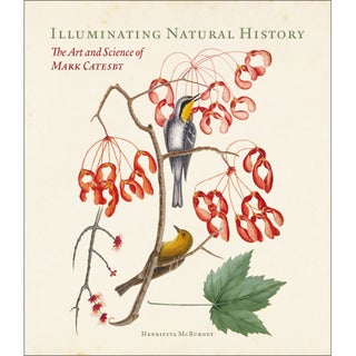 Item #15238 Illuminating Natural History: The Art and Science of Mark Catesby. Henrietta McBurney