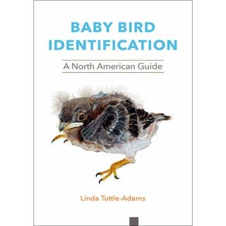 Item #15247 Baby Bird Identification: A North American Guide. Linda Tuttle-Adams