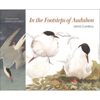 Item #15252 In the Footsteps of Audubon. Denis Clavreul, Martha Le Cars., David Allen Sibley