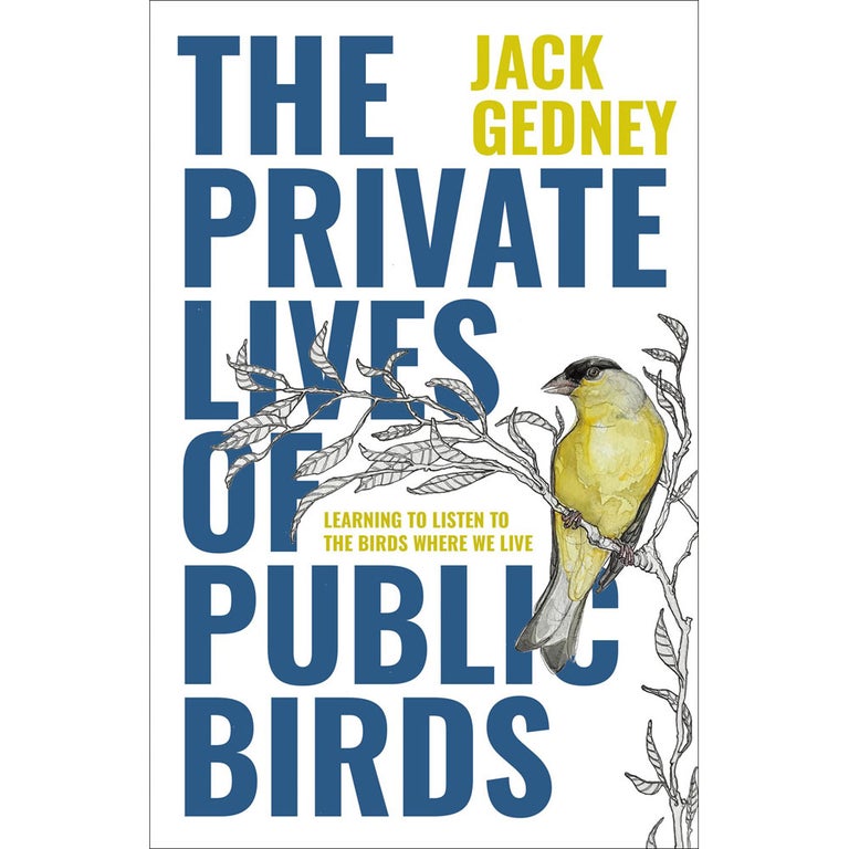 Item #15285 The Private Lives of Public Birds: Learning to Listen to the Birds Where We Live. Jack Gedney, Anna Kus Park.
