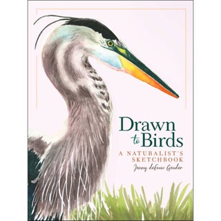 Item #15290 Drawn to Birds: A Naturalist's Sketchbook. Jenny deFouw Geuder