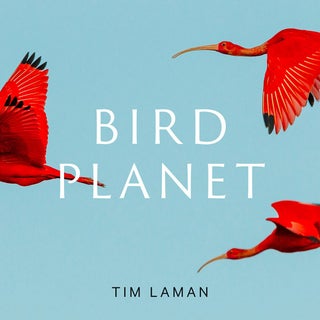Item #15298 Bird Planet: A Photographic Journey. Tim Laman