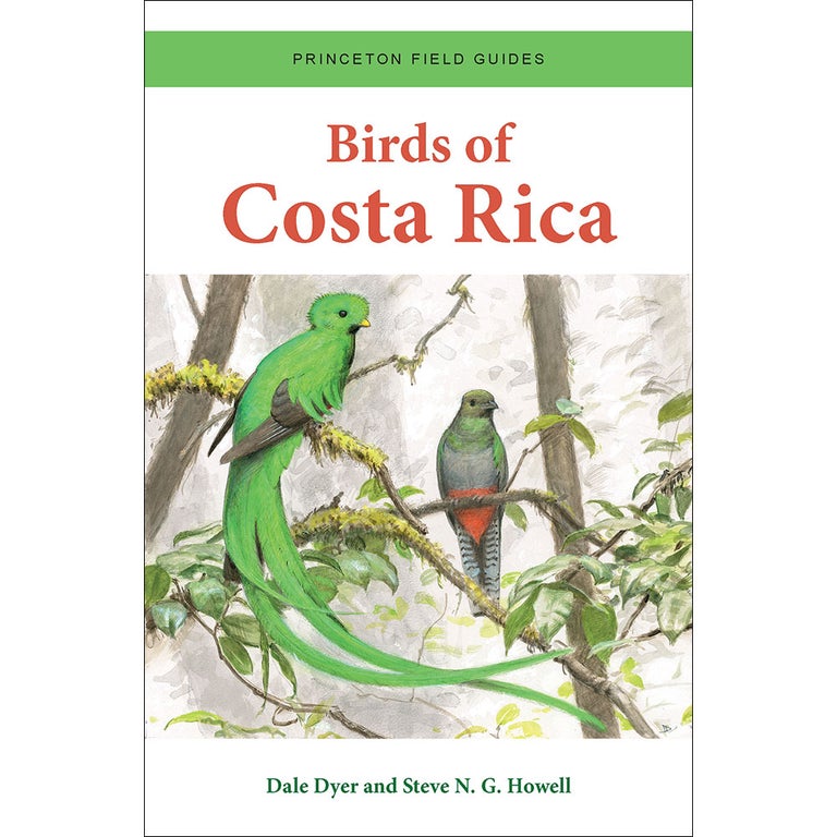 Item #15317 Birds of Costa Rica. Princeton Field Guides. Dale Dyer, Steve N. G. Howell.