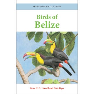 Item #15320 Birds of Belize. Princeton Field Guides. Steve N. G. Howell, Dale Dyer