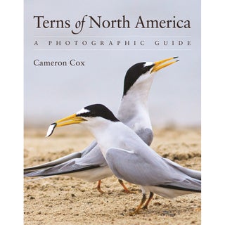 Item #15338 Terns of North America: A Photographic Guide. Cameron Cox