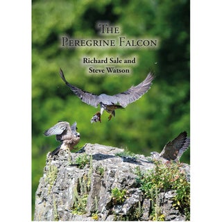 Item #15341 The Peregrine Falcon. Richard Sale, Steve Watson