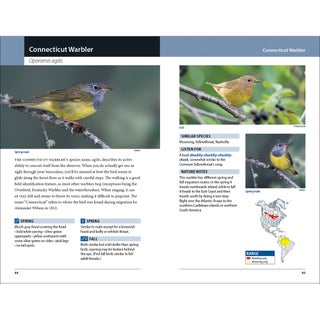 Warblers of Eastern North America, 2nd edition