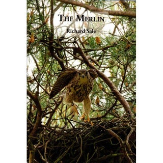 Item #15344 The Merlin- Updated Edition. Richard Sale