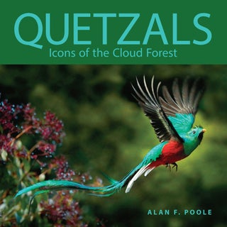 Item #15365 Quetzals: Icons of the Cloud Forest. Alan F. Poole