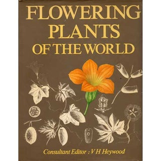 Item #A146 Flowering Plants of the World. V. H. Heywood, Consulting
