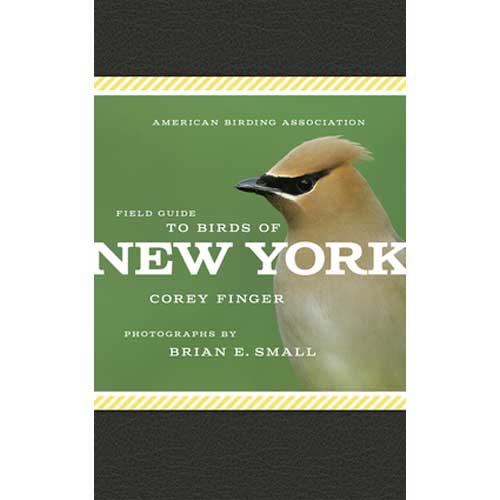 Item #ABAFGNY American Birding Association Field Guide to Birds of New York. Corey Finger, Brian E. Small.