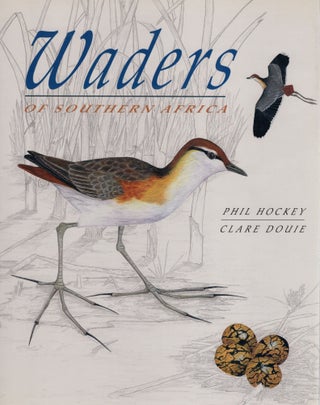 Item #ABC049 Waders of Southern Africa. Phil Hockey