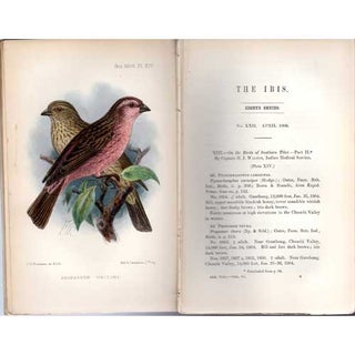 Item #AH1805 In the Ibis 'On the Birds of Southern Tibet'. Captain H. J. Walton