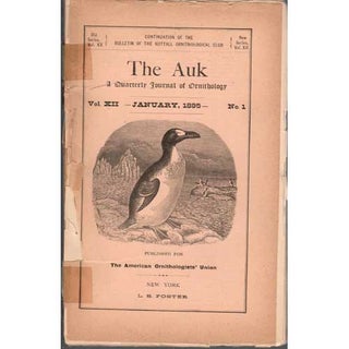 Item #AukXII-1 The Le Conte Thrasher, Harporhynchus lecontei. Merriam. C. Hart