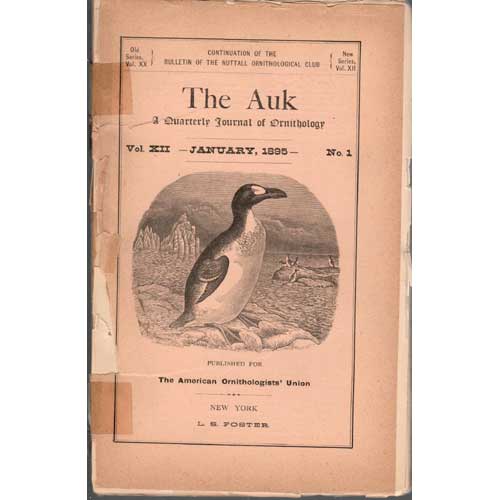 Item #AukXII-1 The Le Conte Thrasher, Harporhynchus lecontei. Merriam. C. Hart.