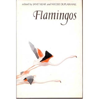 Item #B127 Flamingos. Janet Kear, Nicole Duplaix-Hall