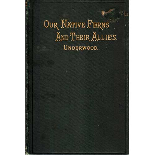Item #B222 Our Native Ferns and their Allies with Synoptical Descriptions of the American Pteridophyta North of Mexico. Lucien Marcus Underwood.
