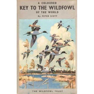 Item #B345 A Coloured Key to the Wildfowl of the World. Peter Scott