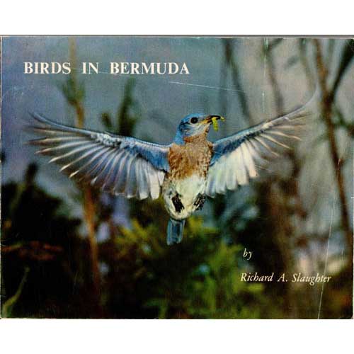 Item #B417 Birds in Bermuda. Richard A. Slaughter.