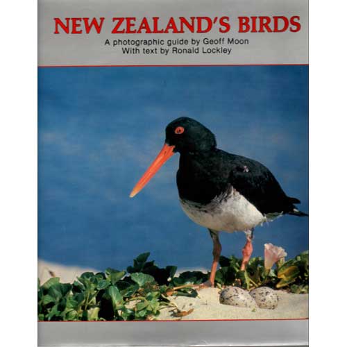 Item #B469 New Zealand's Birds: A Photographic Guide. Ron Lockley, Geoff Moon.