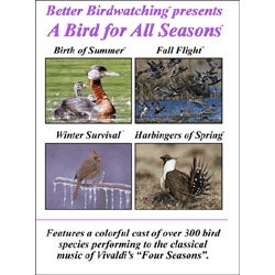 Item #BBWP4 Better Birdwatching Presents: A Bird for All Seasons (4 video set) [DVD]. Joseph A....