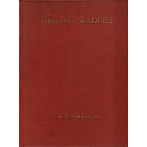 Item #BR1201 British Waders: Illustrated in Water-colour with Descriptive Notes. E. C. Arnold.