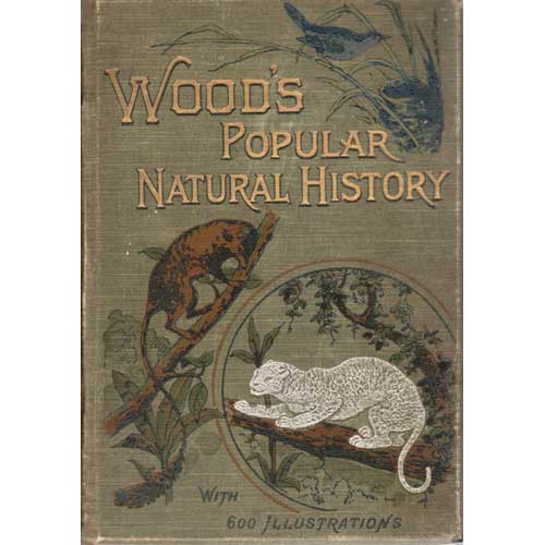 Item #BR145 The Popular Natural History. Rev. J. G. Wood.