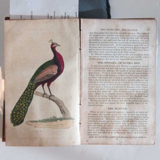 Bigland's History of Birds, Fishes, Reptiles and Insects.