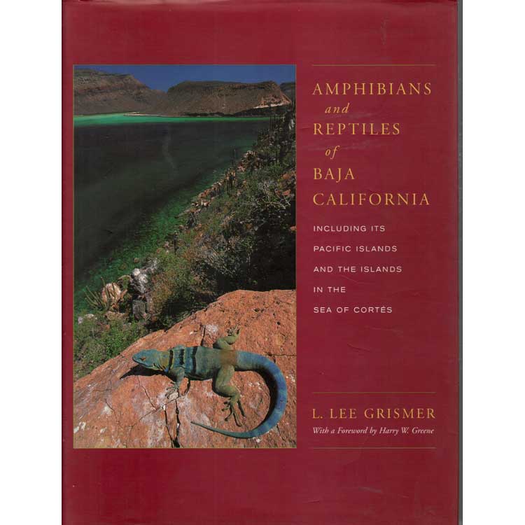 Item #C533 Amphibians and Reptiles of Baja California. L. Lee Grismer.
