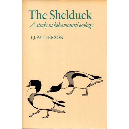 Item #C635 The Shelduck: A study in behavioural ecology. I. J. Patterson.