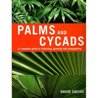 Item #C652 Palms and Cycads. David Squire