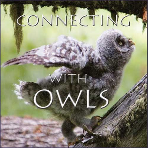 Item #CWODVD Connecting with Owls [DVD]. Kathleen Cameron.