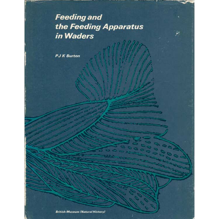 Item #D053 Feeding and the Feeding Apparatus in Waders. Philip J. K. Burton.