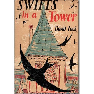 Item #D265U Swifts in a Tower. David Lack