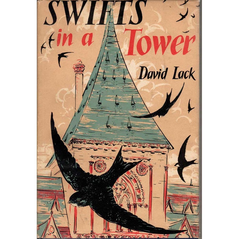 Item #D265U Swifts in a Tower. David Lack.