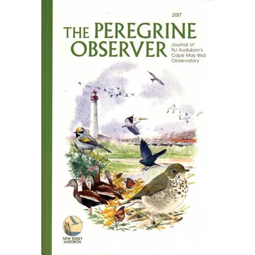 Item #D415 The Peregrine Observer 2017. Brett M. Ewald.