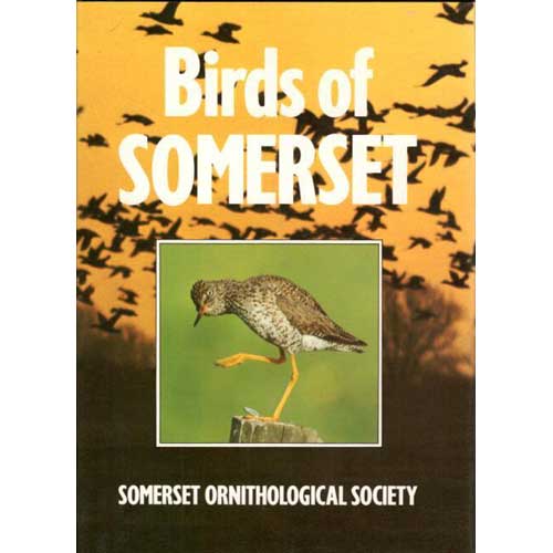 Item #D436 Birds of Somerset: Somerset Ornithological Society. Alan Sutton.