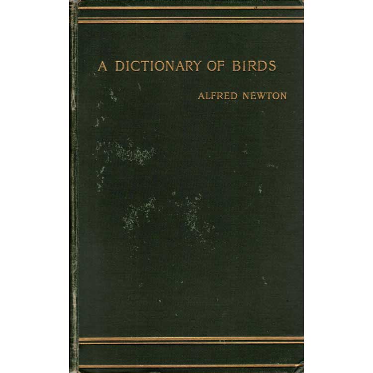 Item #D458 A Dictionary of Birds. Alfred Newton.