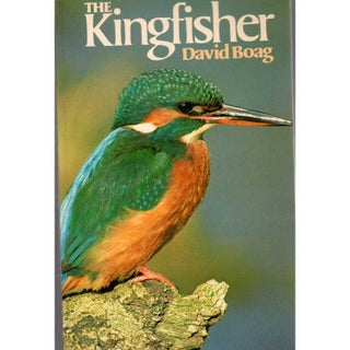Item #D490P The Kingfisher. David Boag